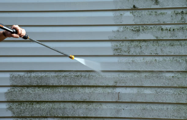 Trusted Dassel, MN Pressure Washing Services Experts